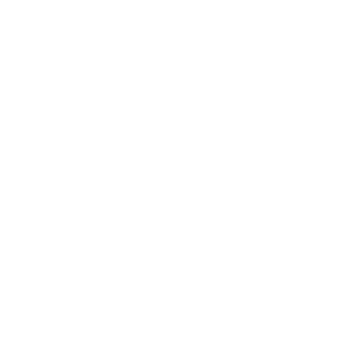 Lalm Treningssenter logo